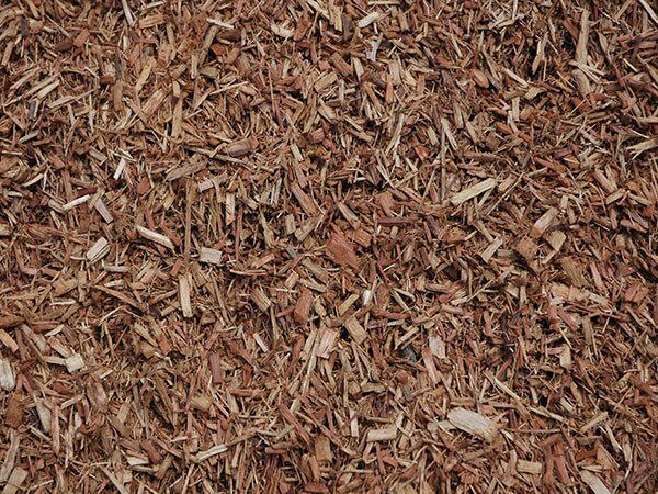 Eucalyptus Mulch