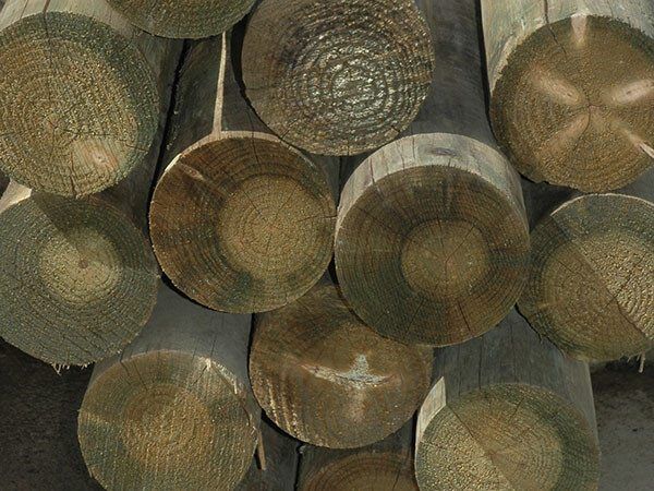 Perfect Round Logs