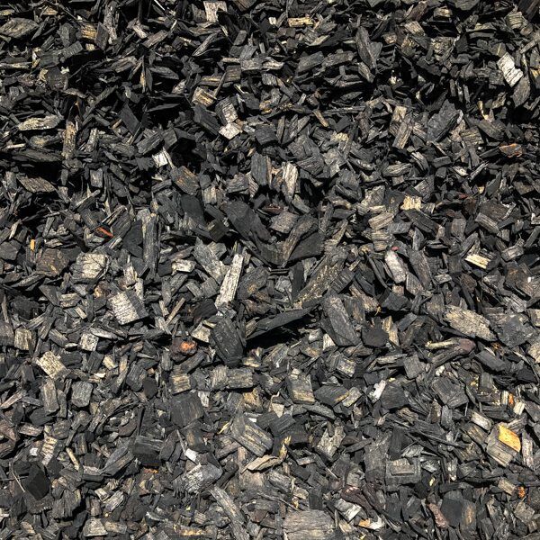 Black Coloured Chip