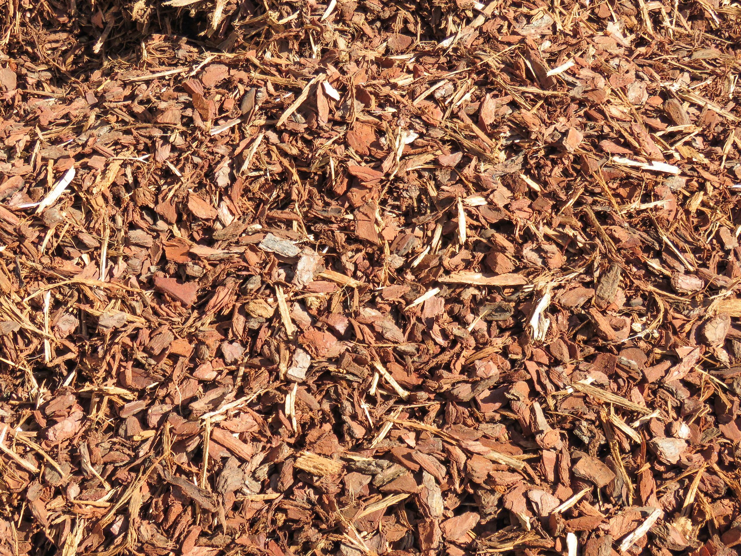 Pine Bark (14mm)