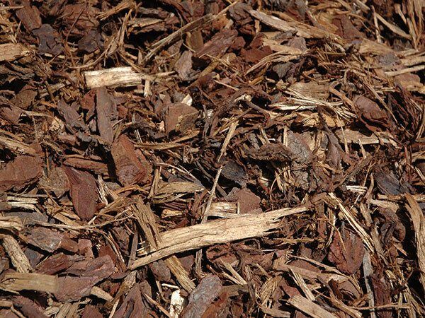 Pine Bark (14mm) - Image 2