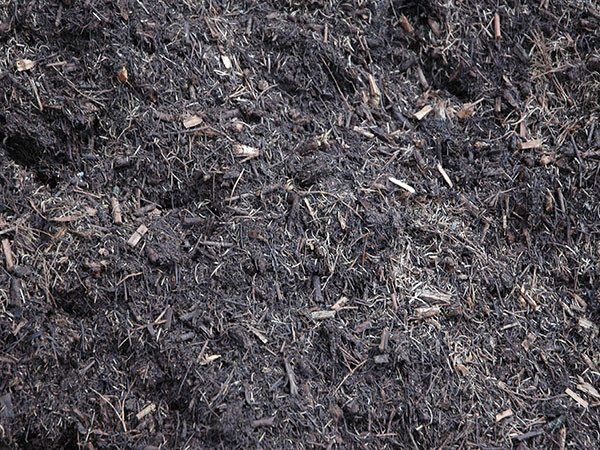 Tea Tree Mulch